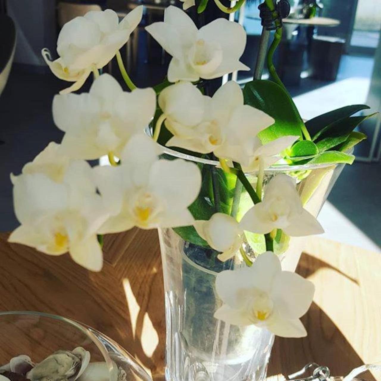 Hotel Villa Barsanti Pietrasanta Eksteriør bilde